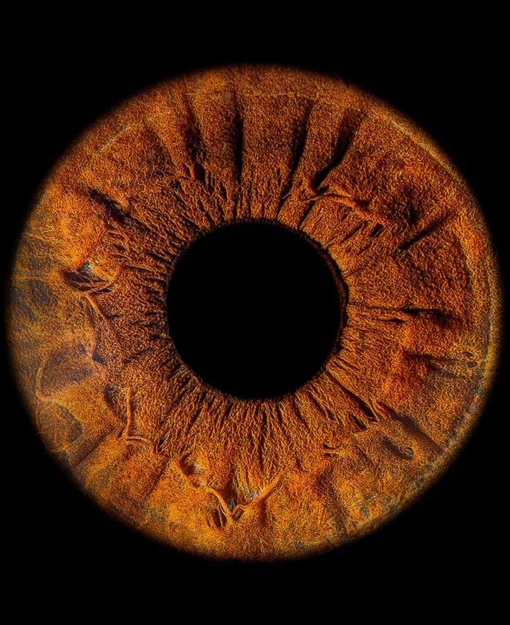 the image is a closeup macro shot of a human eye, focusing on the iris and pupil. the iris is a vibrant mix of orange and brown hues, displaying intricate details and textures. the pupil is black and circular, centered within the iris. the background is a solid black, emphasizing the eye as the primary subject.