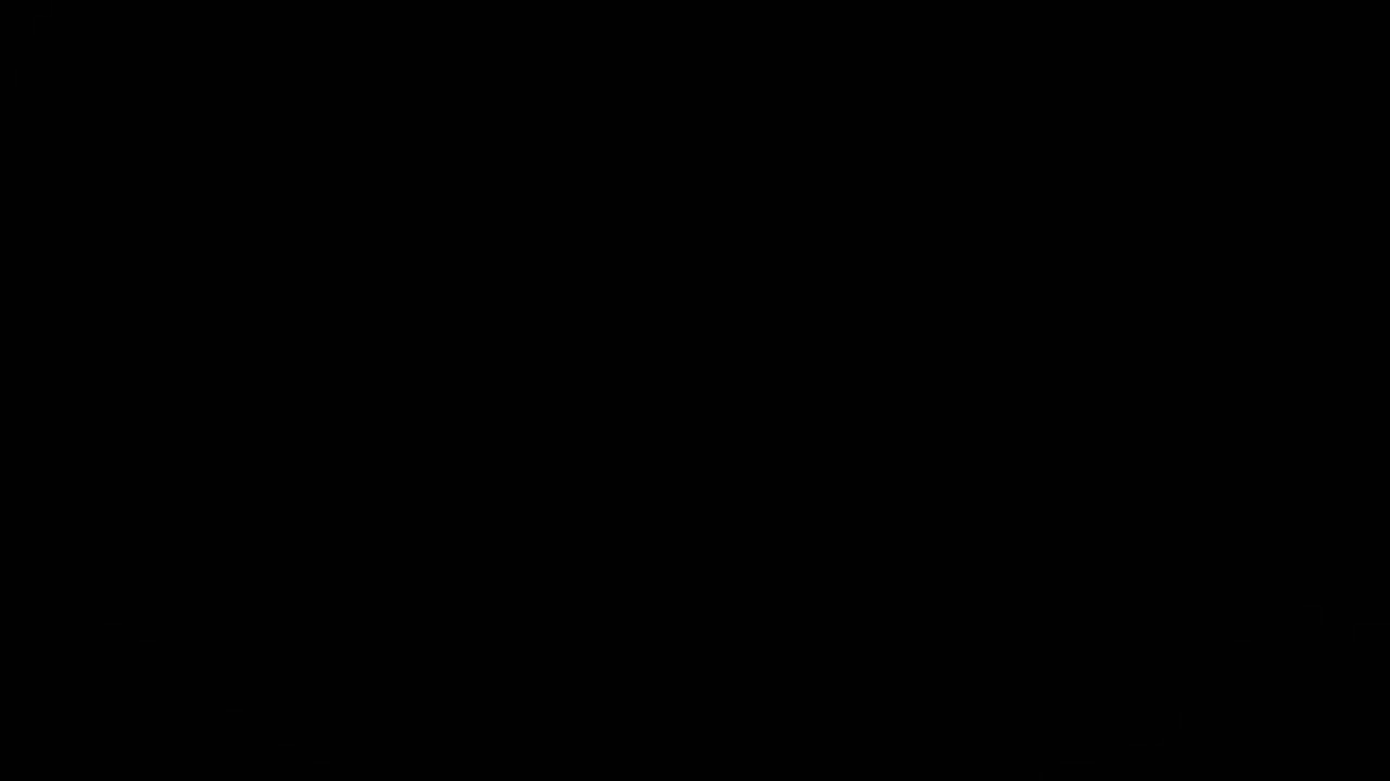 the image is entirely black. there is nothing discernible in the provided visual.