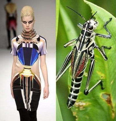 the image is a split image showing a fashion model on a runway on the left side and a grasshopper on a green leaf on the right side. the model is wearing a black and white geometric patterned dress with a gold collar. the grasshopper is black and white with red markings on its legs and body. the contrast between the fashion model and the grasshopper creates an interesting visual effect.