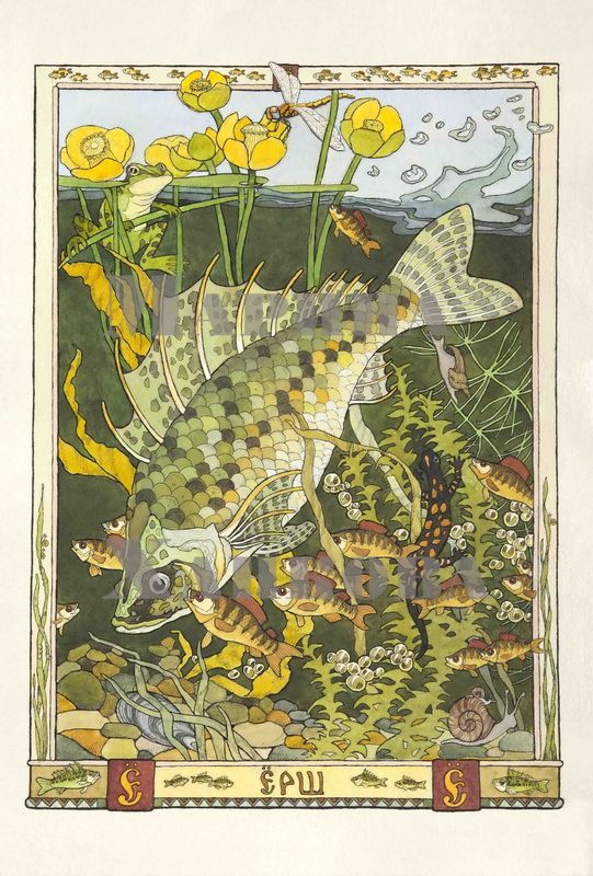 the image is a vibrant and detailed illustration of an underwater scene, possibly from a vintage book or print. the central focus is a large, intricately detailed fish, swimming amongst smaller fish, water lilies, a frog, a dragonfly, and various aquatic plants.  the style is reminiscent of art nouveau or a similar decorative style, with rich colors and flowing lines. the scene is enclosed within a decorative border, which includes a repeating motif and lettering possibly in a slavic language (cyrillic script).  the overall aesthetic is one of beauty and tranquility, capturing a peaceful moment in the aquatic world. the artist's skill is evident in the meticulous detail of the fish scales, plant structures, and other elements. the artwork's style suggests a blend of botanical and zoological illustration, possibly representing a specific ecosystem or even holding symbolic meaning within the context of a larger work.