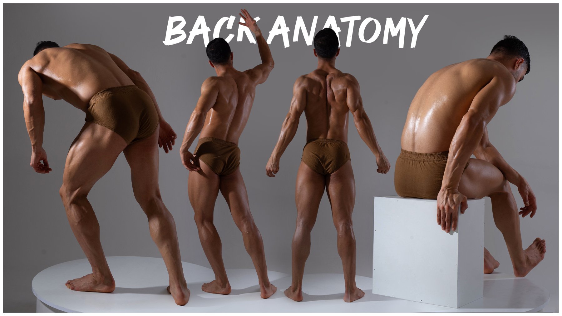 four studio shots of a muscular man posing to showcase back anatomy. the man is wearing brown briefs. the poses are on a white platform, with the last pose sitting on a white cube. the man's skin appears wet. the words "back anatomy" are written across the top of the image.