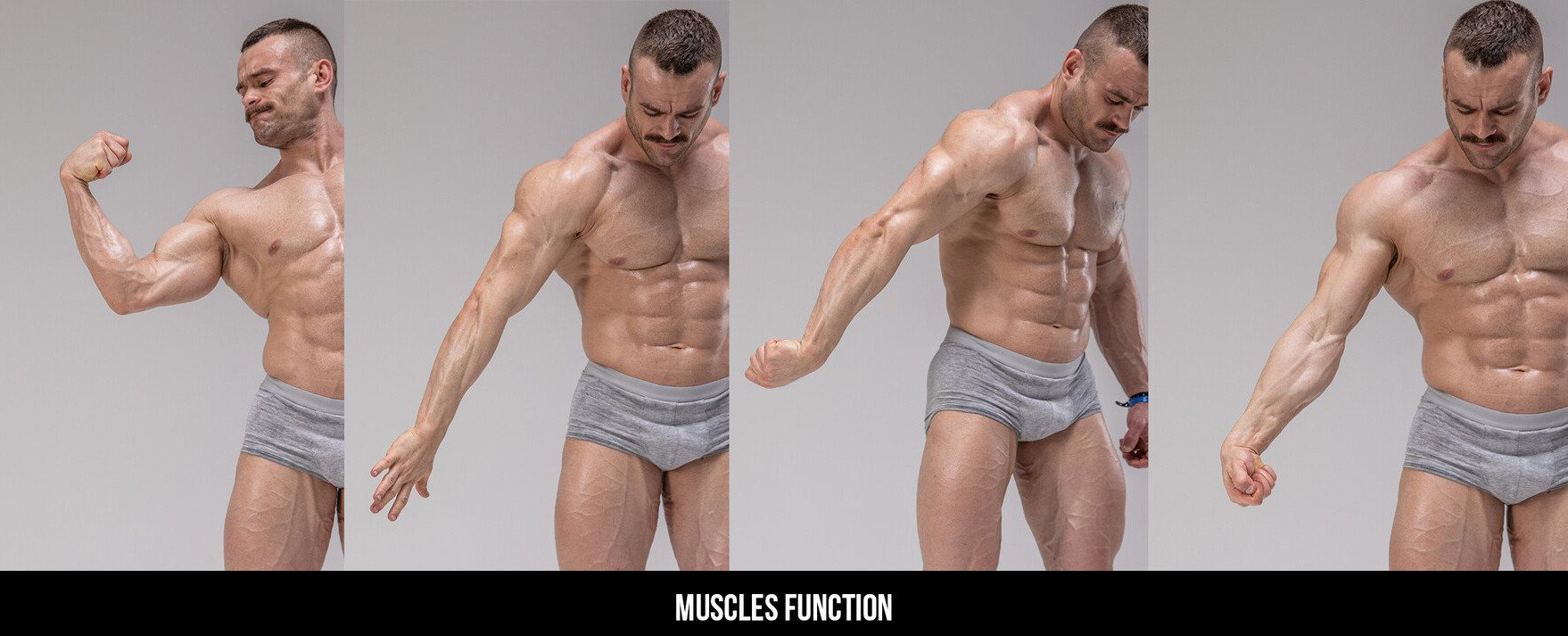 the image shows a muscular man in four different poses, showcasing his various muscle groups. he is shirtless and wearing gray underwear, standing against a gray background. the poses highlight the biceps, triceps, deltoids, lats, trapezius, pecs, abs, quads, hamstrings, and calves. the image demonstrates the anatomy of the human body and the impressive physique of a bodybuilder.