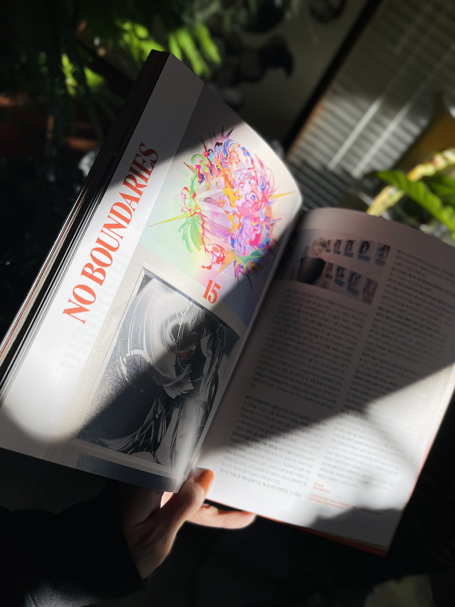 a person is holding open a colorful art book, bathed in warm sunlight streaming through a window.  the page on the left features bold typography "no boundaries" and two vibrant illustrations. the right page showcases smaller images and text in a magazinestyle layout.  the hand holding the book and the surrounding houseplants are partially visible, creating a cozy and personal atmosphere.