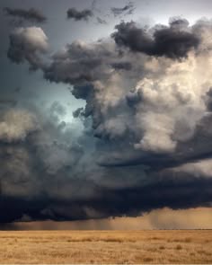 a dramatic, dark sky with swirling storm clouds hangs over a field of golden grass. the clouds are thick and menacing, creating a sense of impending rain. the scene is moody and atmospheric, with a sense of foreboding.