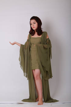 a fulllength shot of a young woman standing sideways, showcasing a flowing olive green sheer dress. the dress features long, wide sleeves and a loose, draped silhouette. the model is barefoot and her hair is styled neatly, with minimal makeup. the background is plain white, allowing the dress to be the focal point. the image conveys a sense of elegance and grace.