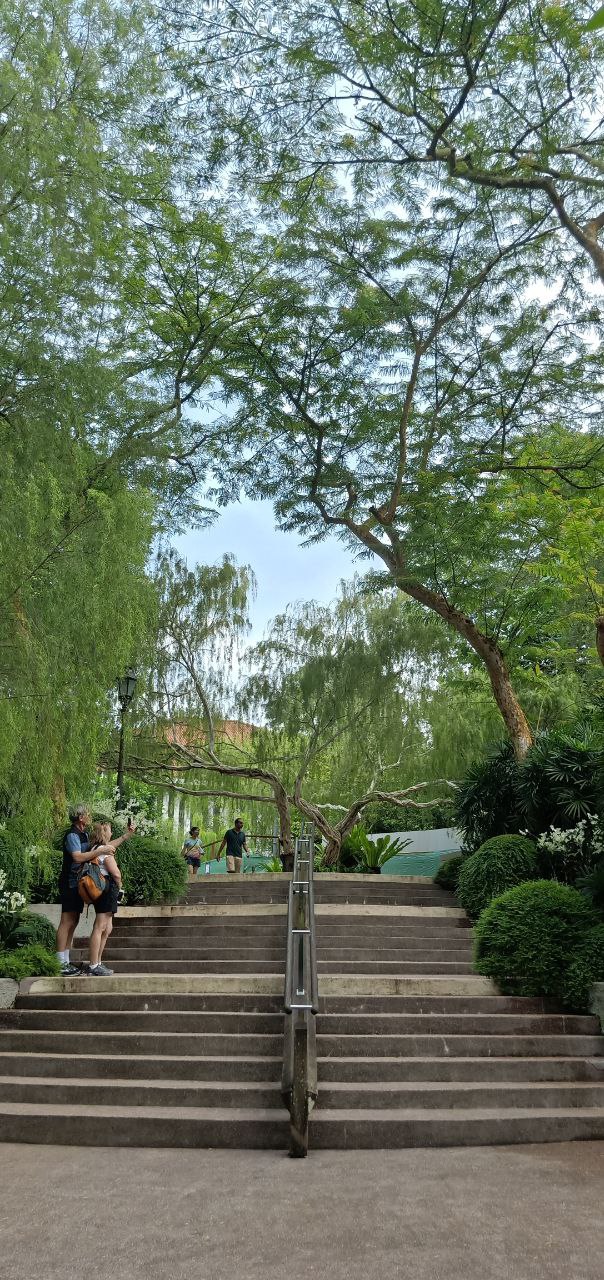 a couple walks down stone stairs with a metal railing leading down to a path in a forest. the trees are all green, with lush foliage surrounding the path. the couple is walking handinhand and there are other people further down the path. the image is taken during the daytime.