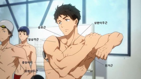 a shirtless male anime character with brown hair and blue eyes is stretching his arm in front of him. he is in an indoor swimming pool setting and the background shows other characters. there are korean words labeling different muscle groups on his body.