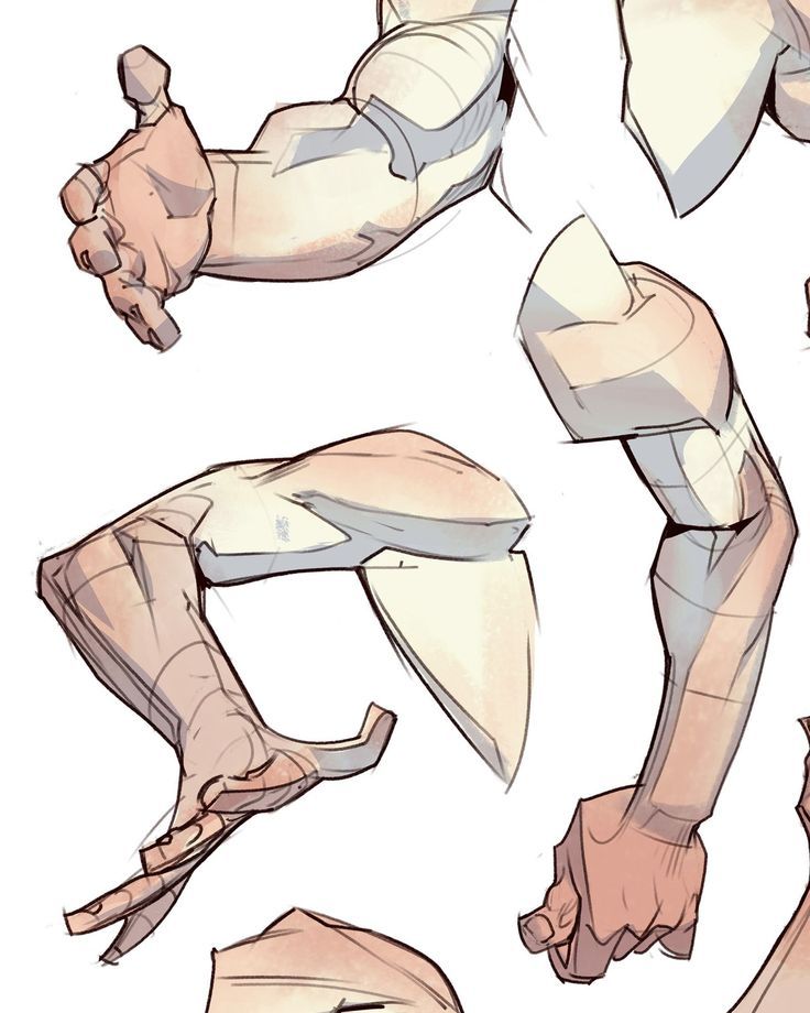 the image is a collection of detailed sketches showcasing various poses and angles of arms and hands. the style is stylized and slightly cartoonish, yet it maintains a strong emphasis on anatomical accuracy. the sketches appear to be a study of arm and hand anatomy, demonstrating the underlying muscles and forms.  different viewpoints of arms and hands are shown, illustrating how the shapes and proportions change with pose and perspective. the color palette is muted and warm, lending a soft quality to the detailed linework. the overall impression is one of a reference sheet for artists studying anatomy for illustration or comic art.