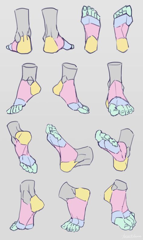 this is a drawing of feet in different poses with anatomical shapes highlighted in various colors. the drawing showcases front, back, side and 3/4 perspective views of human feet.  it is likely intended as a reference for artists.