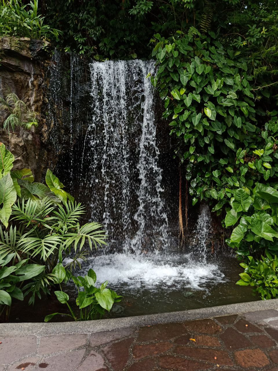 a closeup view of a beautiful waterfall cascading down a rock face surrounded by lush green foliage in a tropical rainforest.  the water is clear and sparkling.  the scene is peaceful and serene.  a pathway leads up to the waterfall.