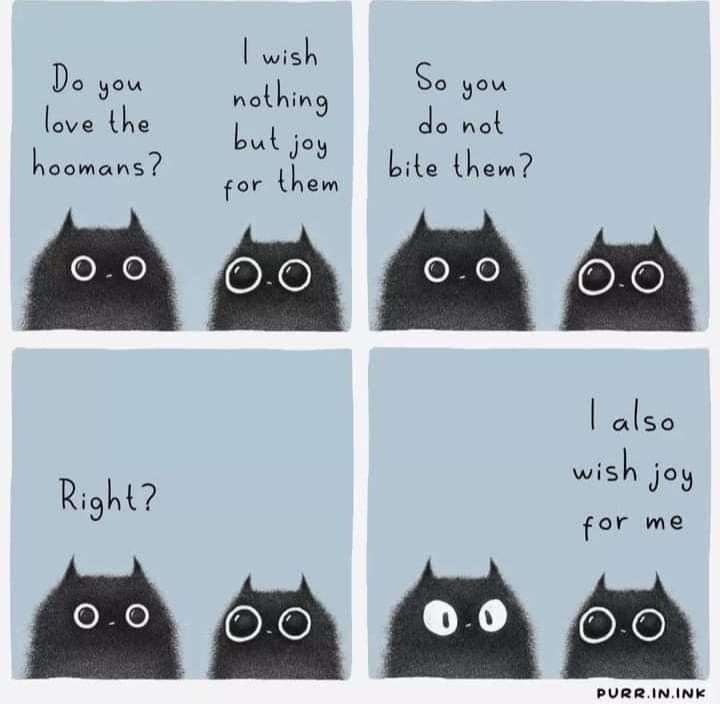 the image is a fourpanel comic strip featuring cartoon images of black cats with large, round eyes. each panel has a different speech bubble above the cats. the first panel reads "do you love the hoomans?". the second panel reads "i wish nothing but joy for them". the third panel reads "so you do not bite them?". the fourth panel reads "right?" in the first panel and "i also wish joy for me" in the second panel. the overall tone of the comic is humorous.