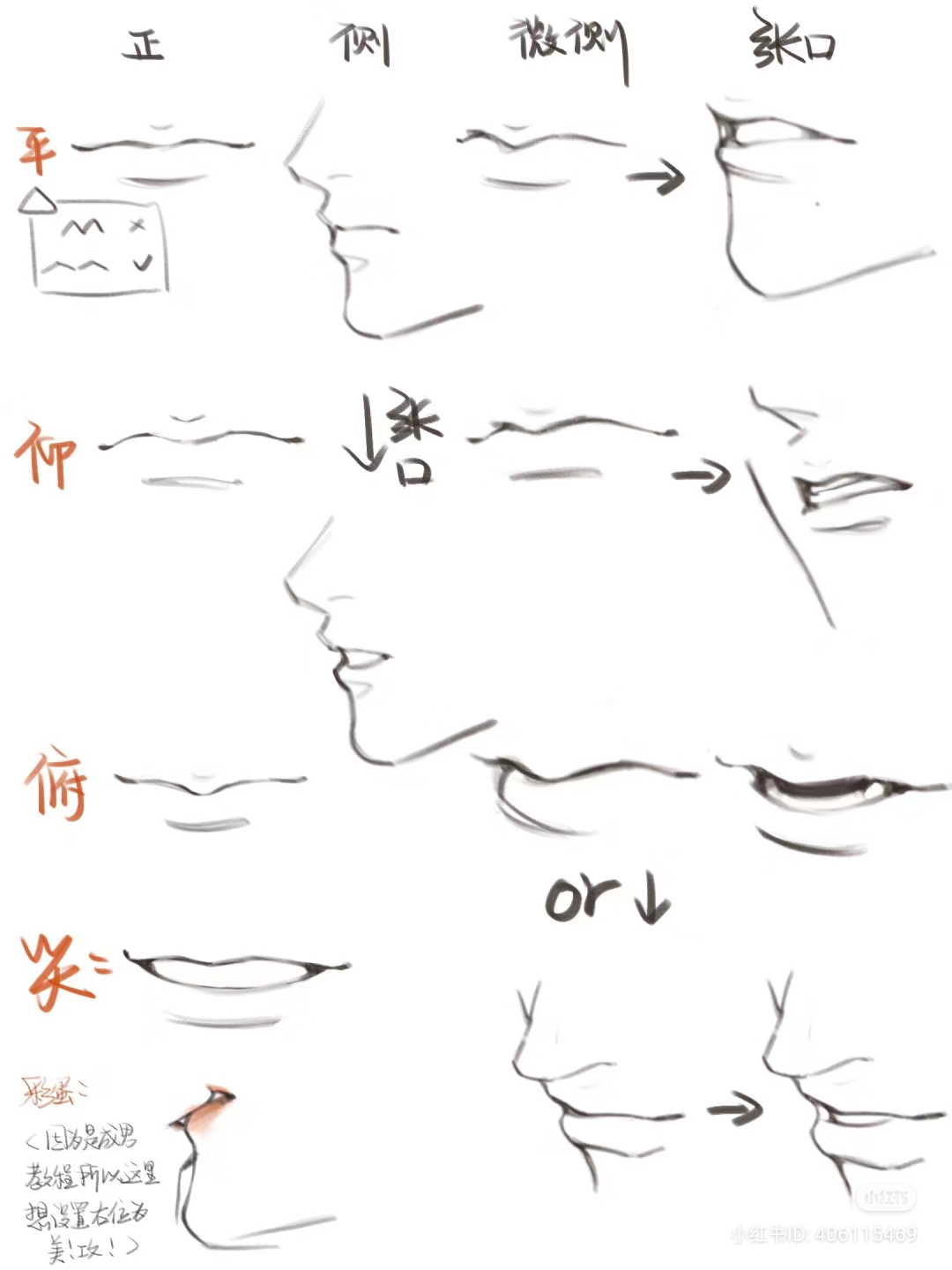 the image is a drawing tutorial focusing on different lip and mouth positions in an anime/manga style.  it shows various states like "normal", "slightly open", "open wide", and "smiling" viewed from a side profile. small sketches illustrate how the lip shape changes for each expression. there are also notes written in chinese, likely explaining the tutorial steps or offering tips for drawing.
