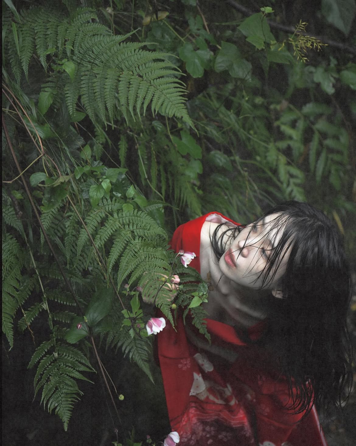 a woman with wet black hair and pale skin is leaning back into a wall of ferns and other foliage. she is wearing a red kimono with a pattern on it. there are small pink flowers near her. the scene is dark and moody, suggesting a forest or overgrown garden.