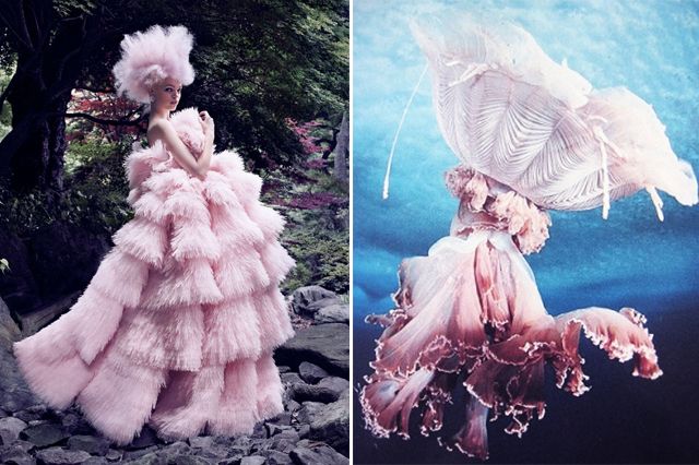 the image is a split image. on the left side, a model wearing a beautiful pink dress with a ruffled skirt stands in a forest setting. the dress is very voluminous and ethereal. on the right side, a jellyfish with similar frilly, flowing features is shown underwater. the image suggests a connection between fashion and nature, and highlights the beauty of both.