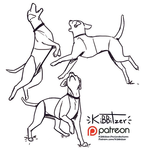 the image contains a black and white line drawing of three dogs in various dynamic poses. one dog is leaping into the air, another is midjump, and the third is in a playful stance. the style is loose and expressive, focusing on capturing the movement and energy of the animals.  the artist's signature and patreon information is included in the bottom right corner.