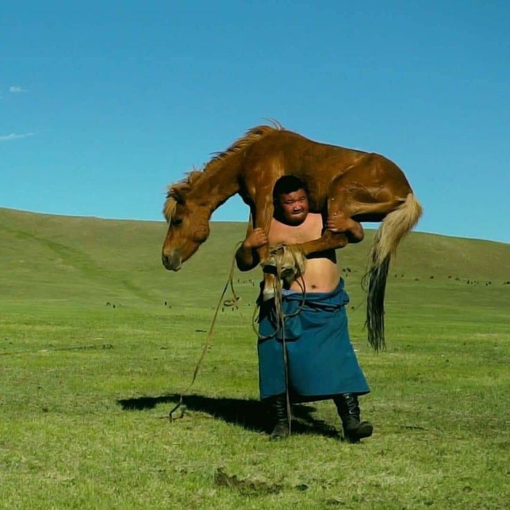 a man is holding a horse up in the air, with only his arms. the man is wearing traditional clothing and the horse is a brown and white color. he is standing in a green grassy field. the sky is blue and there are a few white clouds in the background.