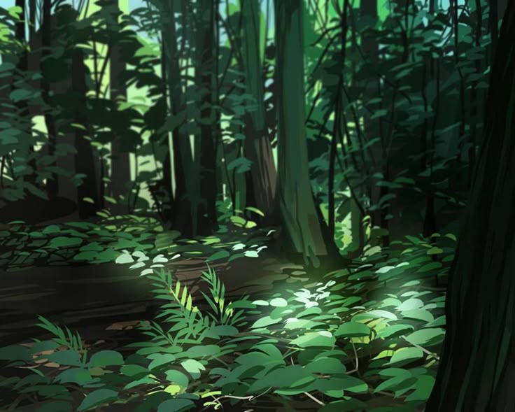 the image shows a lush green forest with tall trees and a dense undergrowth of plants and leaves. sunlight filters through the canopy, creating dappled shadows on the forest floor. the scene evokes a sense of tranquility and natural beauty.