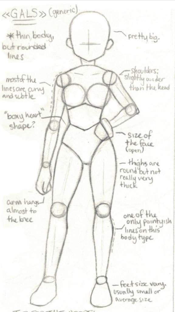 the image is a sketch of a female anime character showing the generic "gal" body type. it includes labels for various body parts, highlighting their characteristics and drawing features. the image is helpful for artists who want to learn how to draw female characters in anime style.