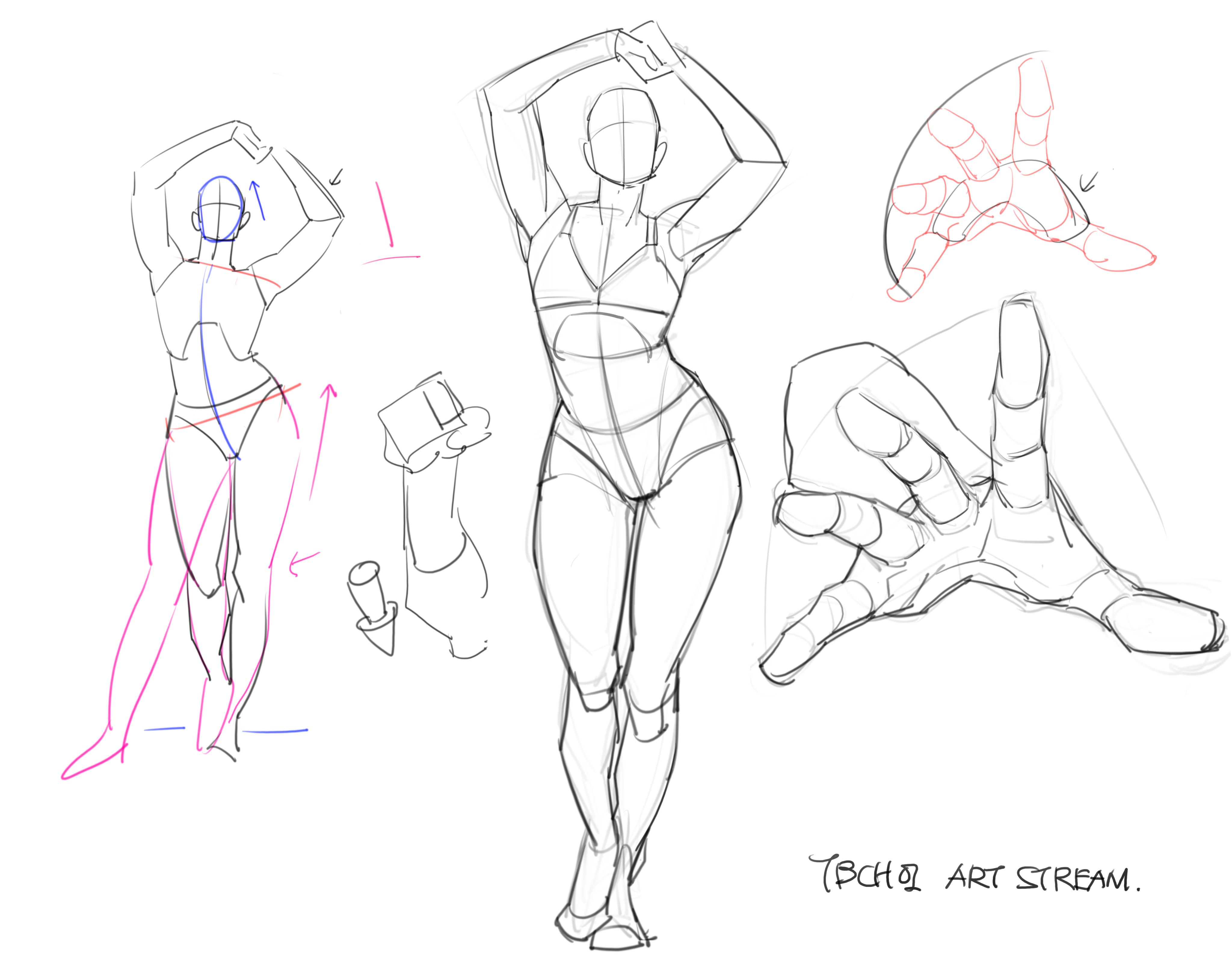 the image contains a collection of quick sketches focusing on figure and hand drawing.  there are several studies of a female figure in different poses, with emphasis on gesture and body proportions.  anatomical details like muscle structure are subtly suggested.  several separate hand studies are also present, showcasing different perspectives and positions of the hand.  some sketches include guiding lines and shapes, illustrating the artist's approach to constructing the figure from basic forms. the style is loose and expressive, typical of gesture drawing exercises.  a watermark with "tbchq art stream" is visible in the bottom right corner.
