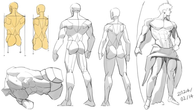 the image consists of multiple figure drawing studies focusing on the male back anatomy. it features a variety of sketches, from simplified muscle groups and bone structures to a more detailed and shaded fullbody rendering. the artist aims to capture the form, volume, and movement of the human back in different poses.