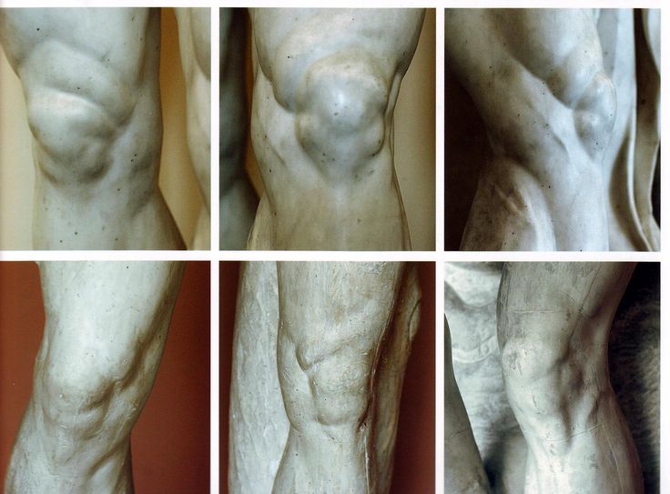 the image is a grid of six closeup photographs detailing the muscular legs of a classical statue, likely sculpted from marble. the focus is on the anatomical detail of the leg muscles, particularly around the knee area. the statue is depicted against a plain, warmtoned background.