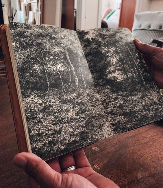 a closeup shot shows a person's hands carefully holding open a leatherbound sketchbook. the sketchbook features a detailed penandink drawing of a forest scene. the drawing is highly realistic, depicting numerous trees and the textured ground cover in great detail. the grayscale palette emphasizes the light and shadow, adding depth and realism to the artwork. the hands holding the sketchbook are in sharp focus, emphasizing the intimate connection between the artist and their creation. the background is blurred, but hints at a home or studio environment. the overall feeling is one of appreciation for the art and the process of creation.
