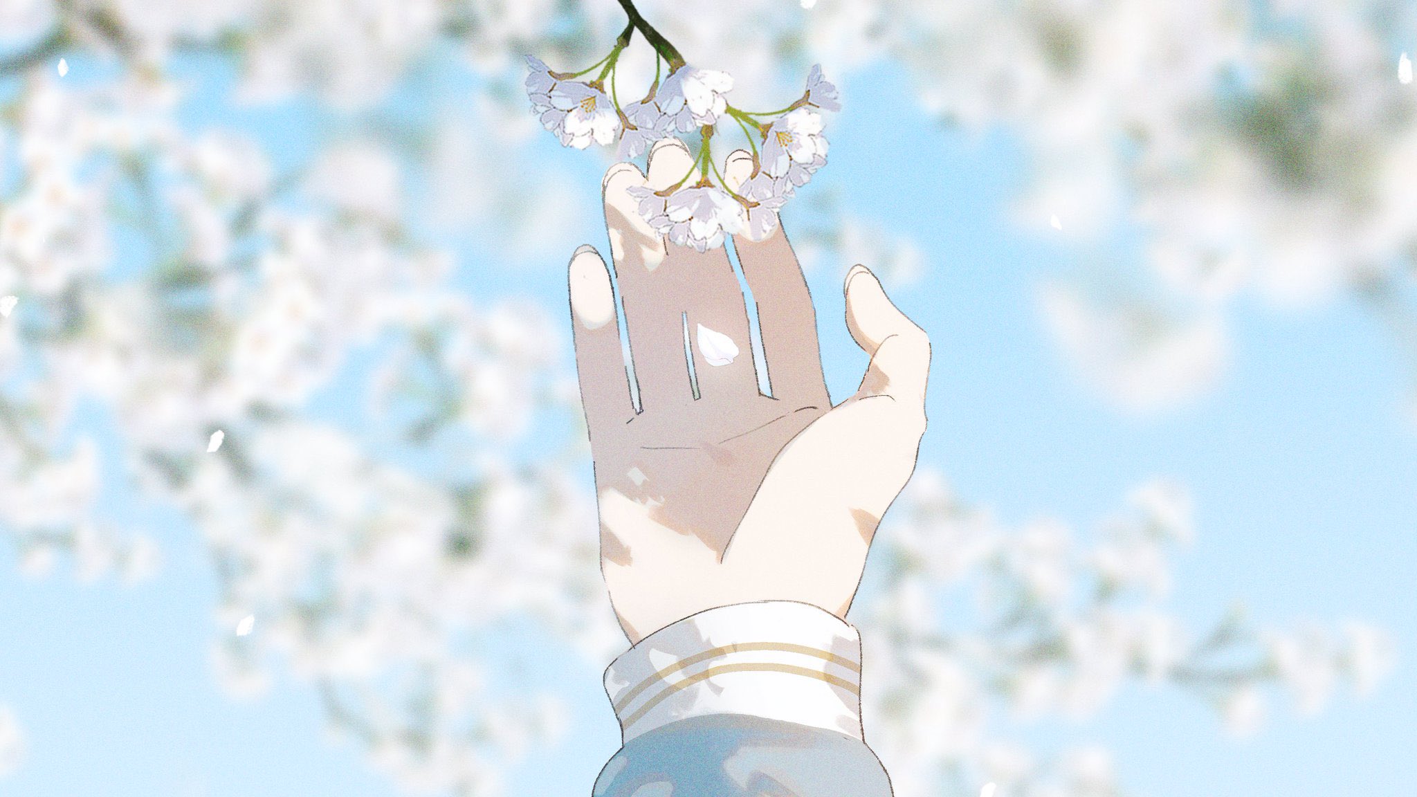 a closeup shot focusing on a hand reaching up towards a cluster of delicate white cherry blossoms against a backdrop of a bright blue sky.  the hand belongs to a person wearing a blue and white uniform, possibly a school uniform. sunlight filters through the branches, casting soft shadows on the hand and creating a serene and peaceful atmosphere.  the scene evokes the feeling of spring and the beauty of nature.