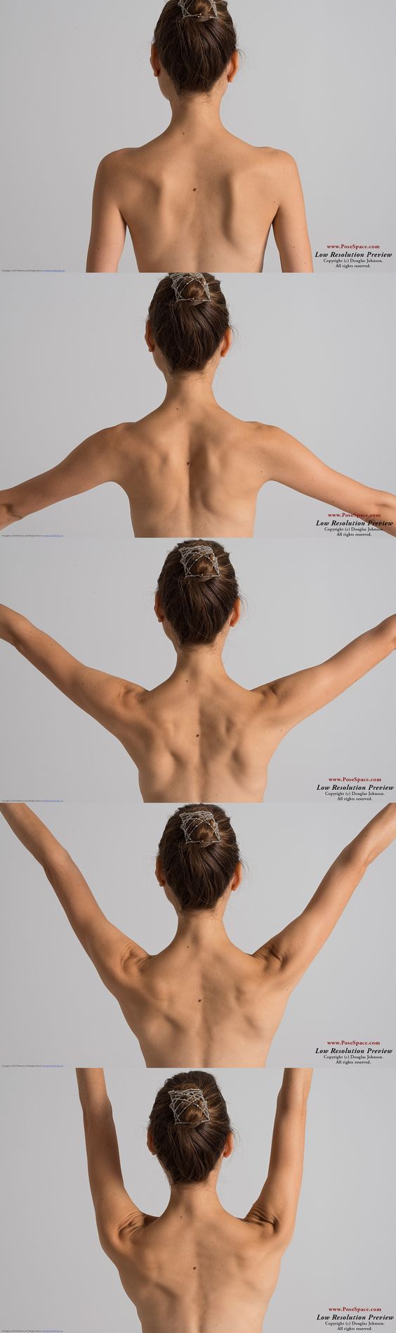 the image showcases the back view of a woman in five different arm positions against a plain, light gray background. the lighting is soft and diffused, highlighting the contours of her back and arm muscles. the focus is on providing a clear view of the anatomy for artistic reference.