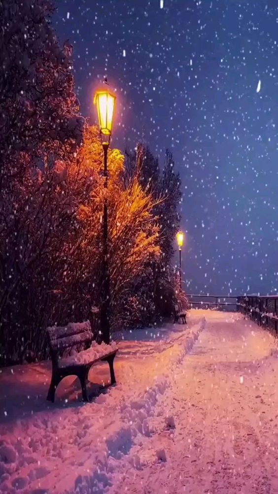 a snowy path lined with benches and trees illuminated by warm streetlights on a dark winter night. the snowcovered ground suggests a recent snowfall, creating a serene and peaceful atmosphere.