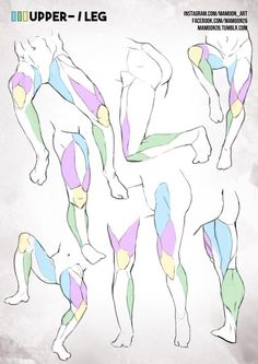 the image is a collection of sketches showing the muscular anatomy of the upper leg from various angles. it appears to be an instructional image for artists learning to draw the human figure. each muscle group is highlighted in a different pastel color against the simple line drawing of the legs in various poses.  the background is a textured offwhite, giving the impression of a sketchbook page.