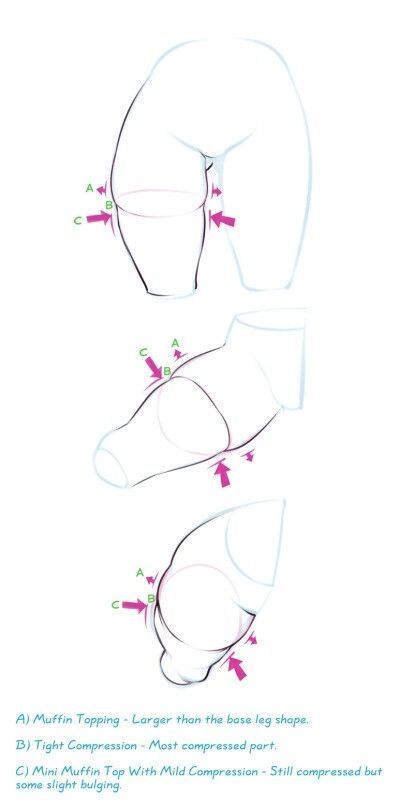 the image is a sketch of three different leg shapes with labels for different parts of the leg.