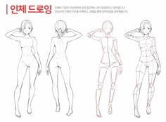 the image shows a drawing tutorial with four female figures demonstrating different poses. the figures are drawn in a simple, sketchlike style, with no details other than the basic body outline. the figures are labelled with korean words, possibly indicating the steps of the drawing process or different aspects of the anatomy.