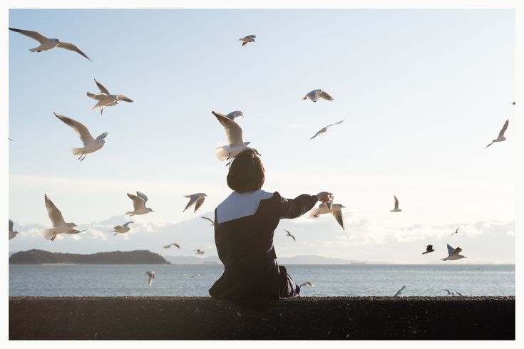 a young person, likely a girl or young woman, sits on a seawall with their back to the camera, facing the open ocean. the person is wearing darkcolored clothing and has short hair. they are extending their arm outwards, and a flock of seagulls flies around them. some of the gulls are close enough to suggest the person might be feeding them. the scene is bathed in warm, natural light, suggesting a sunny day. the overall mood is serene and peaceful, emphasizing themes of freedom and connection with nature.