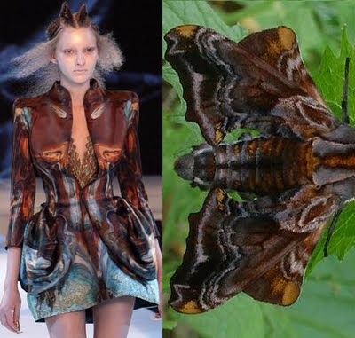 the image shows a woman wearing a dress on a runway. the dress is intricately patterned and resembles the wings of a butterfly. on the right side of the image, a closeup of a butterfly's wings is shown. the image suggests a connection between fashion and nature.