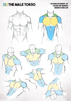 the image is a drawing tutorial on how to draw the male torso. it shows the muscles of the chest, shoulders, and abdomen from different angles. the drawings are in black and white with some areas shaded in gray. the background is white.
