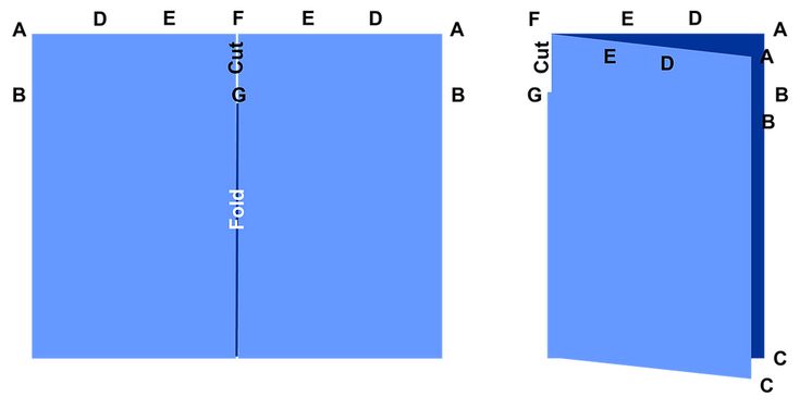 the image shows a stepbystep diagram of a paper folding and cutting technique. the left side displays a flat, blue rectangular sheet of paper labeled with letters a, b, c, d, e, f, and g. a vertical line indicates where the paper should be folded, and another line shows where a cut should be made. the right side shows the result after folding and cutting, resulting in a partially folded shape with visible layers. the letters a, b, c, d, e, f, and g are used to correspond the sections of the paper that were folded or cut.