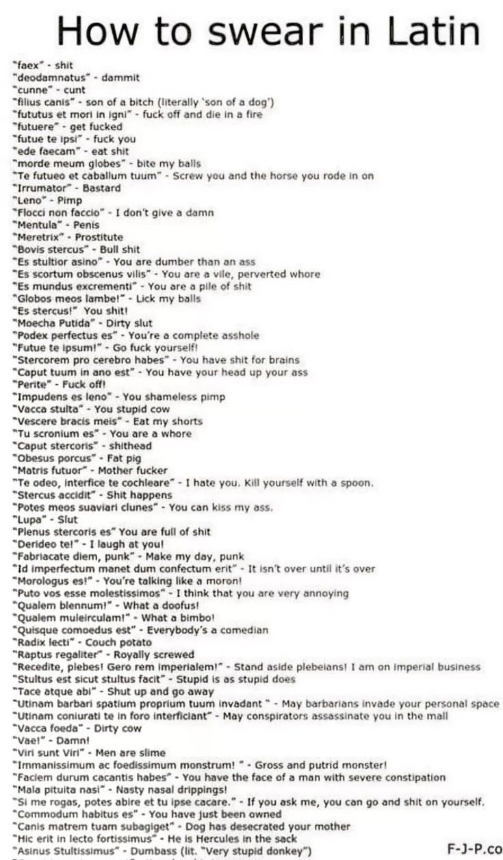 a list of latin swear words and insults with their english translations.