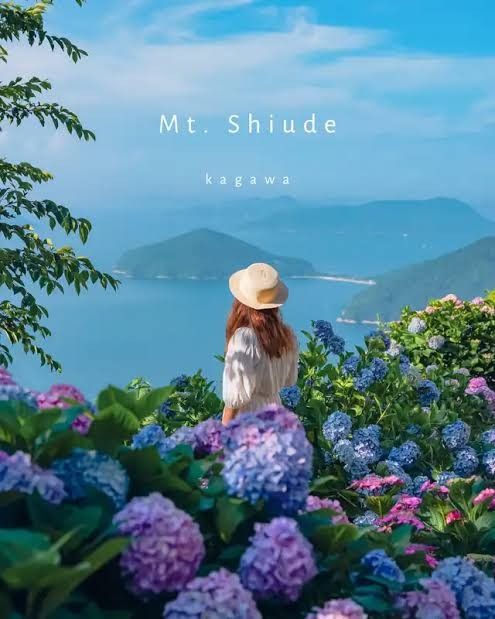 the image showcases a breathtaking view from mt. shiude in kagawa, japan. a woman wearing a sun hat stands amidst a vibrant field of hydrangeas, overlooking a picturesque ocean scene with islands in the distance. the sky is a clear, bright blue, enhancing the overall serene and peaceful ambiance. the colorful hydrangeas add a touch of vibrancy to the landscape, making it a visually stunning and idyllic scene. the image is perfect for showcasing the beauty of nature and the allure of travel to this specific location.