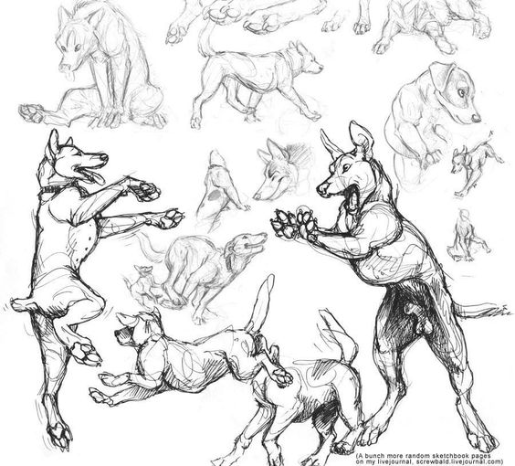 a page from a sketchbook filled with pencil sketches of dogs playing. the dogs are drawn in various poses, showcasing their playful nature and anatomy.