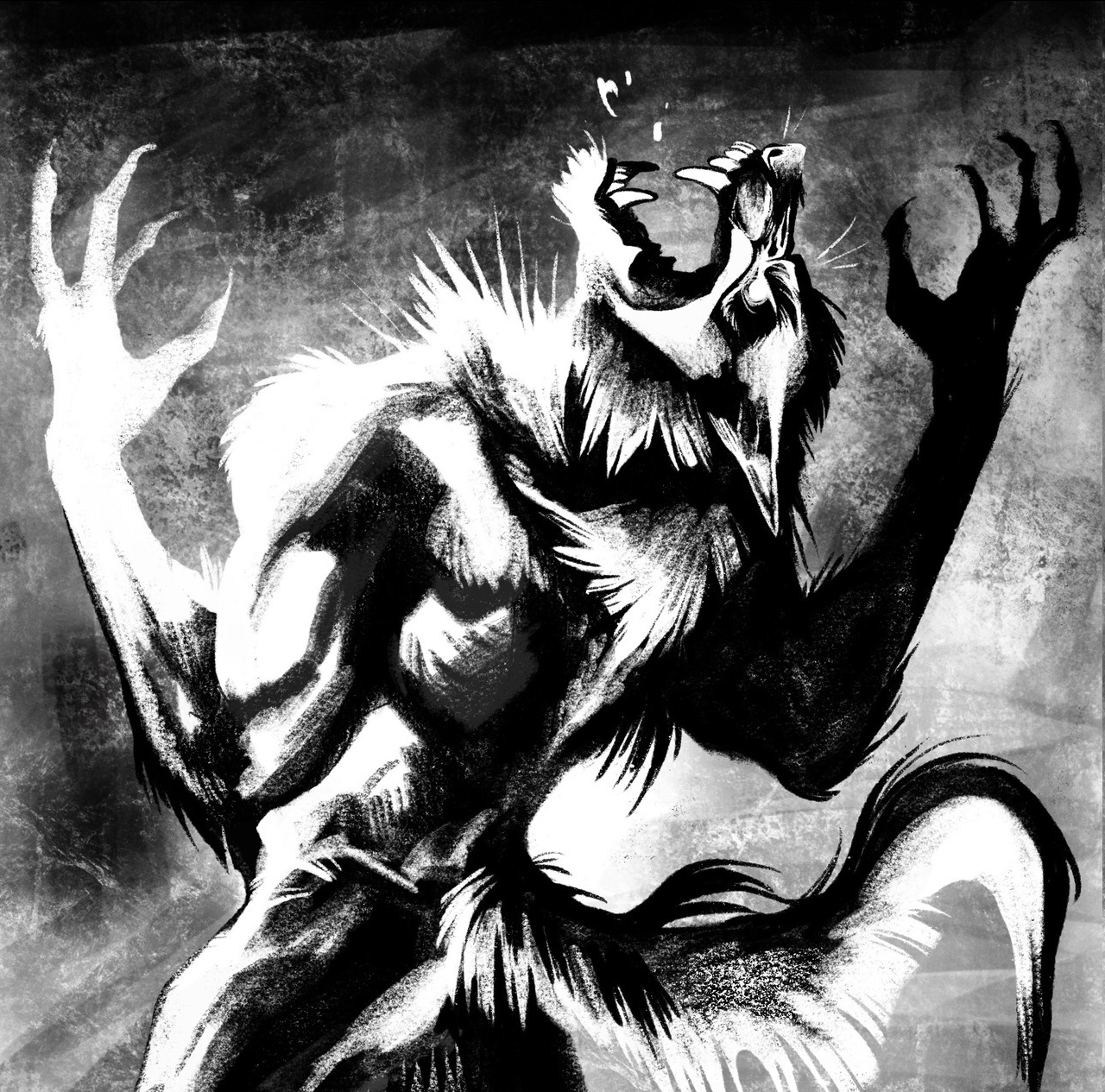 a black and white illustration of a werewolf howling fiercely. it's a dynamic pose capturing the creature's wild nature. the lighting is dark and adds to the overall eerie feel.