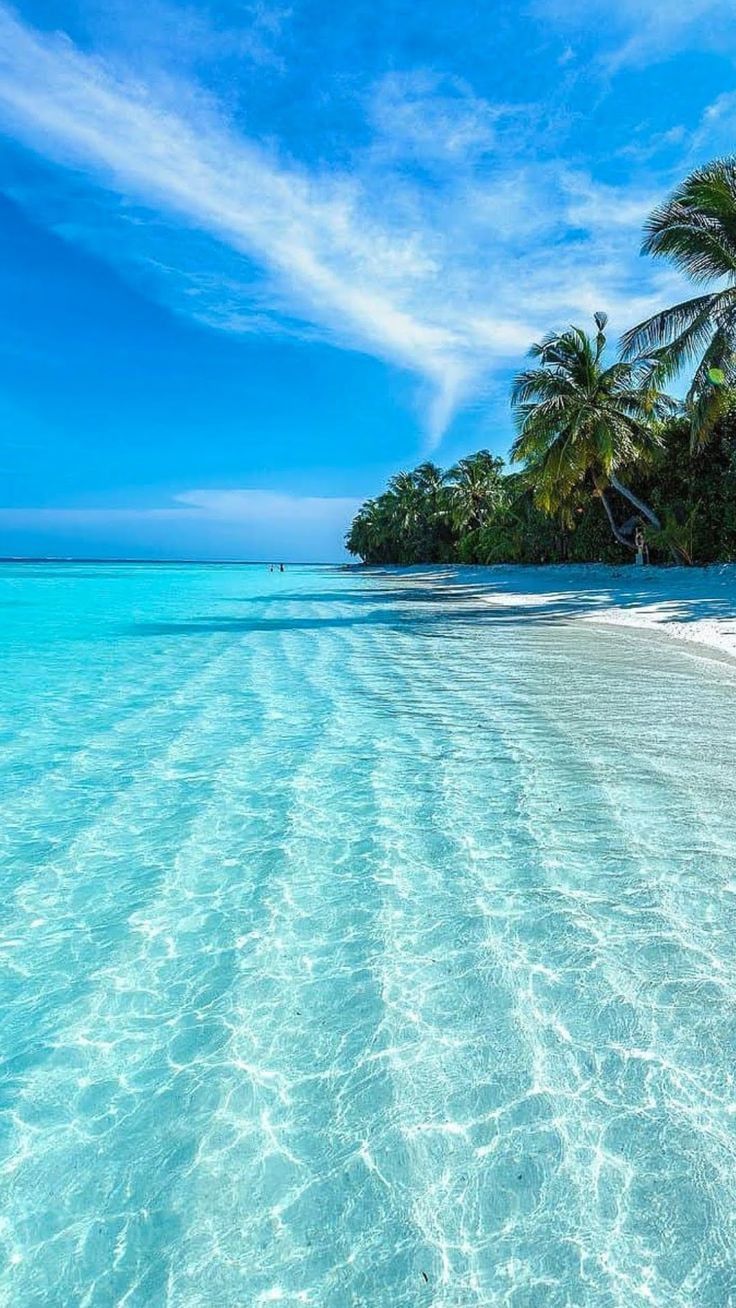a breathtaking panoramic view of a pristine beach with crystalclear turquoise water, lapping gently against the white sandy shore. lush palm trees sway gently in the warm breeze, their shadows dancing on the surface of the water. the sky is a vibrant blue, dotted with fluffy white clouds, creating a serene and picturesque backdrop. the image exudes an aura of tranquility and paradise, inviting viewers to escape to this idyllic tropical haven.