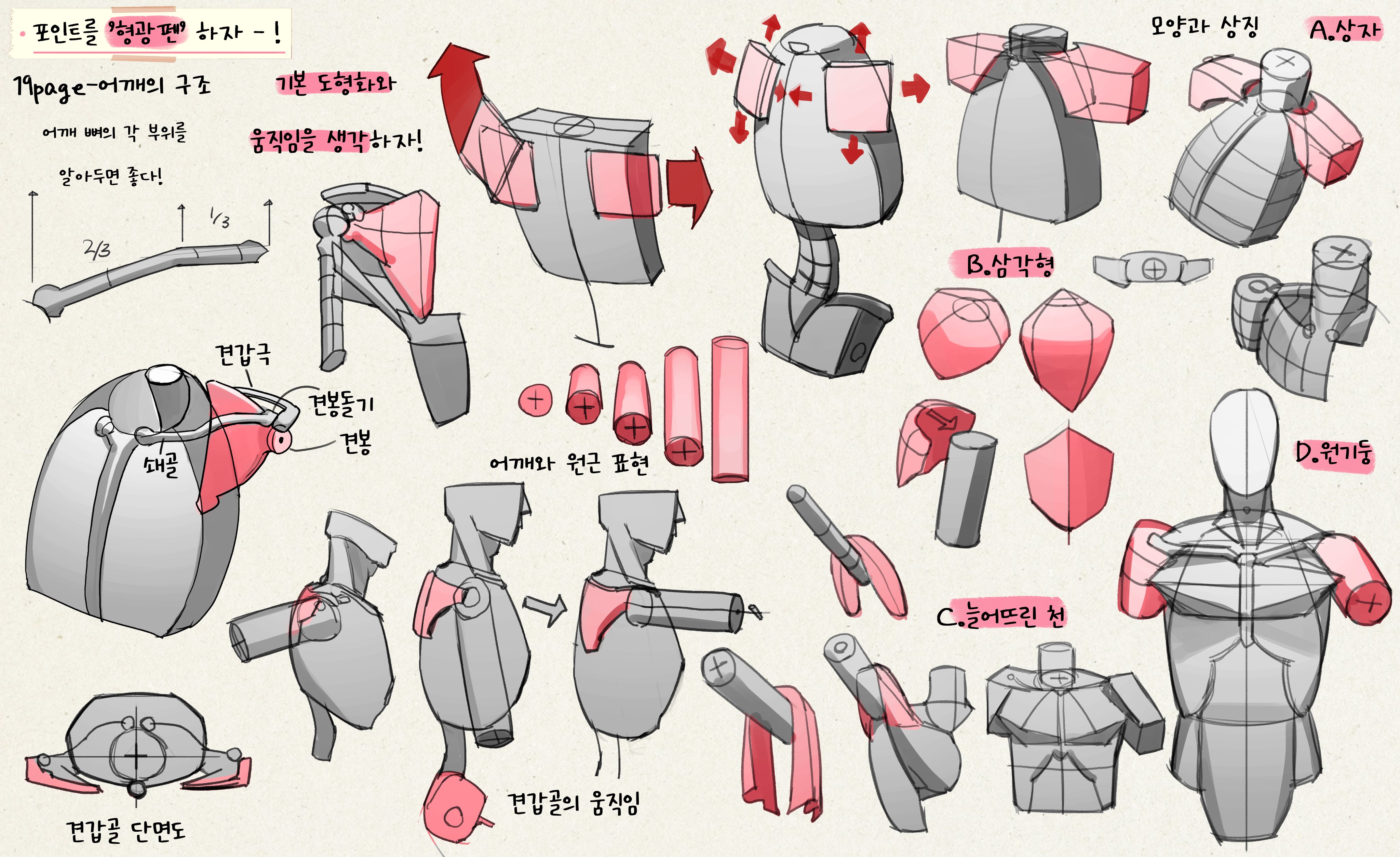 this image is a detailed tutorial or guide, likely from a koreanlanguage source, demonstrating how to draw and understand the structure of the human shoulder. it uses a breakdown of basic geometric forms (cubes, cylinders, pyramids, etc.) to simplify the complex shapes of the shoulder bones and muscles.  the tutorial shows various views and perspectives of the shoulder, along with different ways to represent its movement and how clothing drapes over it.  there are labeled diagrams explaining specific anatomical parts (like the scapula, clavicle, and acromion) and their contribution to the overall form.  the style is clean and organized with a mix of anatomical studies and fashion design applications. the use of pink highlights key aspects and areas of movement.