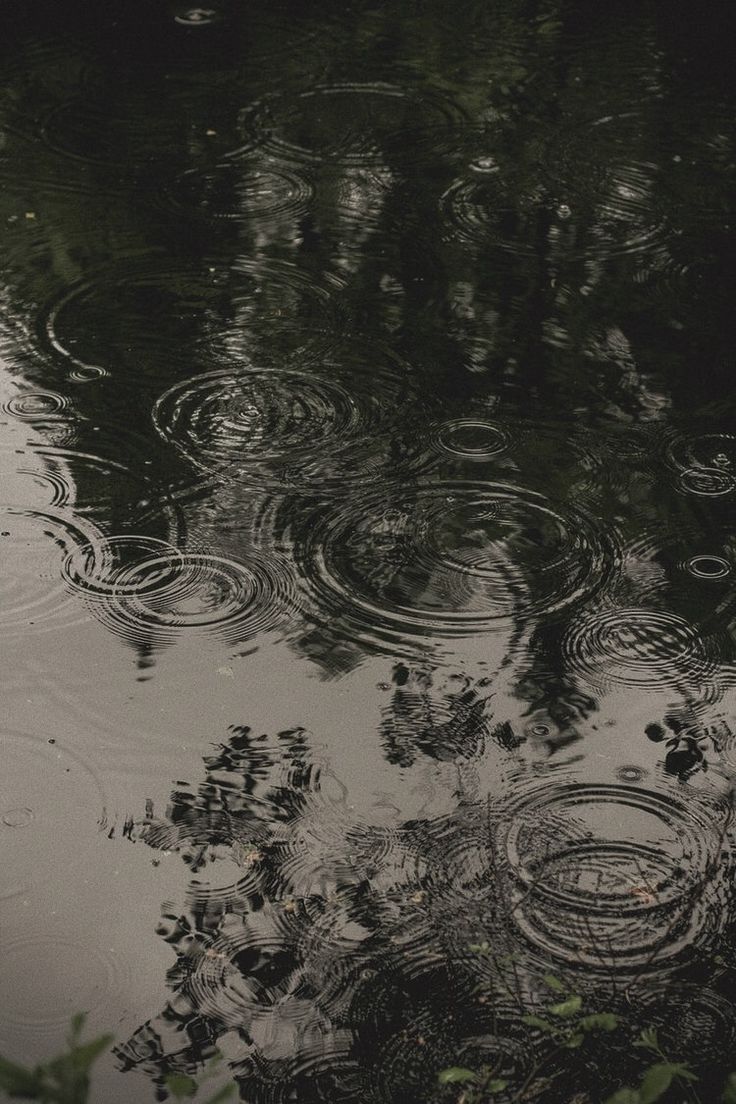 the image shows the surface of a body of water, possibly a pond or lake, covered in ripples from rain. the dark water reflects the surrounding trees, creating a textured and patterned surface. the scene conveys a sense of calm and quietude.