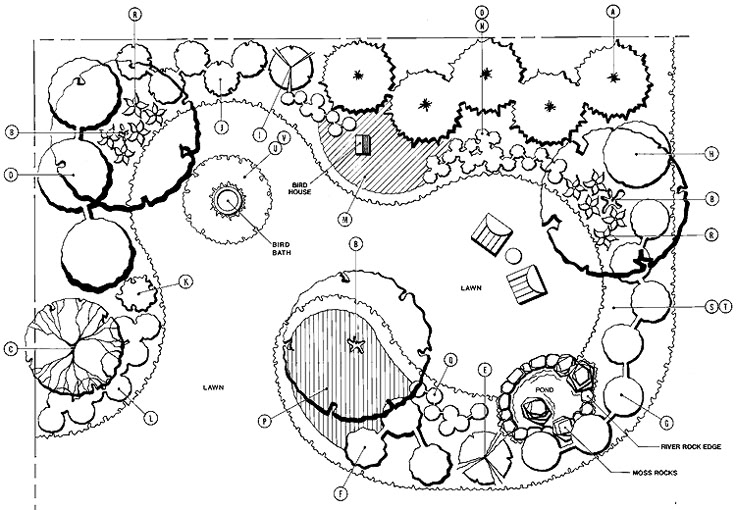 the image is a black and white garden design plan. it features a lawn area, a pond with river rock edge and moss rocks, a bird bath, a bird house, and various trees and shrubs. the plan includes labels and annotations indicating different elements and areas within the garden.