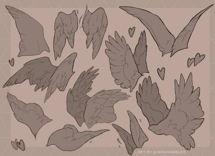 this image is a drawing of different wing positions, in various positions of being folded and spread. the wings are drawn with soft edges and they are in various shades of brown and grey. they appear to be feathered wings like those of an angel. the image also has hearts drawn near the wings, the artist's signature and the words "art by".