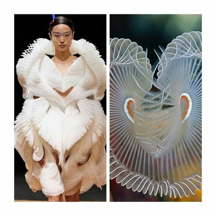 the image shows a comparison between a fashion design and a natural organism. on the left is a woman wearing a white, futuristiclooking dress. the dress is made up of many layers of fabric that have been shaped and sculpted to create a unique and abstract design. on the right is a closeup photograph of a delicate, white coral organism. the coral has a similar intricate structure to the dress, with its many branches and overlapping layers. the juxtaposition of the two images highlights the similarities between nature and human creativity, suggesting that inspiration for art and design can be found in the natural world.
