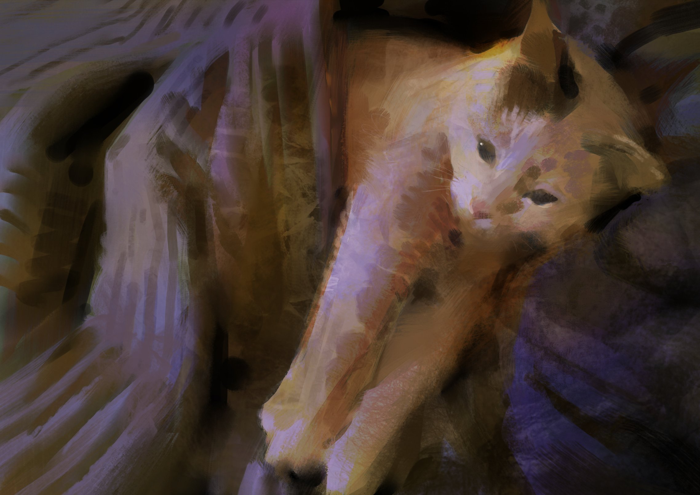 a closeup shot of a cat sleeping on a soft, textured surface. the cat is curled up in a ball, with its head resting on its paws. the fur is a mix of orange and white, and the eyes are closed. the background is a blur of colors and textures, suggesting that the cat is in a cozy and comfortable environment. the image captures the peacefulness and serenity of a cat in deep slumber.