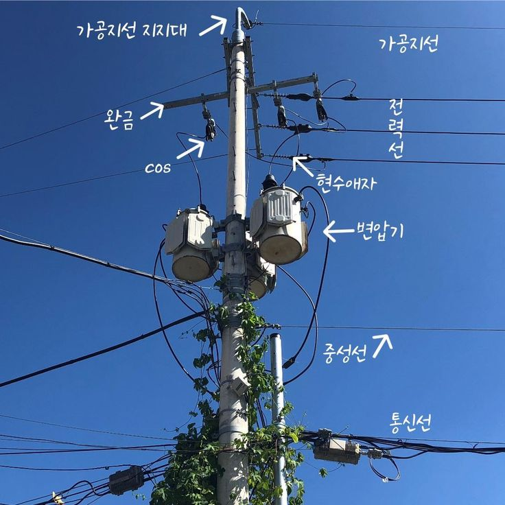 a utility pole with power lines, transformers, and other equipment is pictured against a blue sky. the pole is partially covered with vegetation. various components are labeled in korean, including the "power line support," "cutout switch," "transformer," "power lines," "power line insulators," "neutral wire," and "telecommunication line."