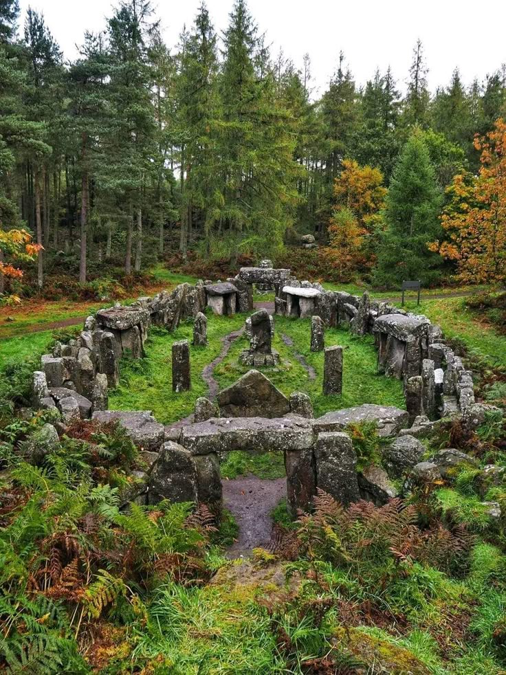a highangle, wide shot shows a stone circle in a forest. the circle is made of large, grey stones, some standing upright, others forming archways and small enclosures. green grass and ferns cover the ground inside and around the circle. dense forest surrounds the circle, with tall trees creating a backdrop. the overall scene is historic and mysterious.