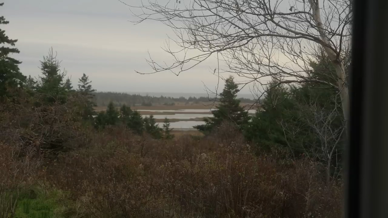 a view from a window of a house overlooking a serene landscape. the foreground is filled with autumnal foliage and evergreen trees. a body of water stretches out in the distance, reflecting the overcast sky. the overall atmosphere is calm and peaceful, typical of a cloudy day.